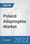 Poland Adaptogens Market: Prospects, Trends Analysis, Market Size and Forecasts up to 2028 - Product Thumbnail Image