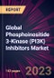 Global Phosphoinositide 3-Kinase (PI3K) Inhibitors Market 2022-2026 - Product Image