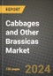 Cabbages and Other Brassicas Market: Industry Size, Share, Competition, Trends, Growth Opportunities and Forecasts by Region - Insights and Outlook by Product, 2024 to 2031 - Product Image