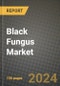 Black Fungus Market: Industry Size, Share, Competition, Trends, Growth Opportunities and Forecasts by Region - Insights and Outlook by Product, 2024 to 2031 - Product Image