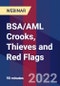 BSA/AML Crooks, Thieves and Red Flags - Webinar - Product Thumbnail Image