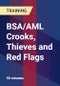 BSA/AML Crooks, Thieves and Red Flags - Webinar (Recorded) - Product Thumbnail Image