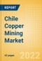 Chile Copper Mining Market by Reserves and Production, Assets and Projects, Fiscal Regime including Taxes and Royalties, Key Players and Forecast, 2022-2026 - Product Thumbnail Image
