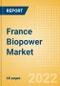 France Biopower Market Size and Trends by Installed Capacity, Generation and Technology, Regulations, Power Plants, Key Players and Forecast, 2022-2035 - Product Thumbnail Image