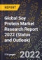 Global Soy Protein Market Research Report 2022 (Status and Outlook) - Product Thumbnail Image