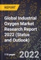 Global Industrial Oxygen Market Research Report 2022 (Status and Outlook) - Product Thumbnail Image