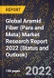 Global Aramid Fiber (Para and Meta) Market Research Report 2022 (Status and Outlook) - Product Image