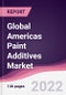 Global Americas Paint Additives Market - Product Image