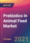 Prebiotics In Animal Feed Market Size, Market Share, Application Analysis, Regional Outlook, Growth Trends, Key Players, Competitive Strategies and Forecasts, 2021 to 2029 - Product Thumbnail Image