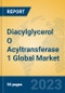 Diacylglycerol O Acyltransferase 1 Global Market Insights 2022, Analysis and Forecast to 2027, by Manufacturers, Regions, Technology, Application, Product Type - Product Image