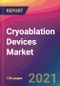 Cryoablation Devices Market Size, Market Share, Application Analysis, Regional Outlook, Growth Trends, Key Players, Competitive Strategies and Forecasts, 2021 To 2029 - Product Thumbnail Image