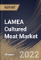 LAMEA Cultured Meat Market Size, Share & Industry Trends Analysis Report By Source, By End Use, By Country and Growth Forecast, 2022 - 2028 - Product Thumbnail Image