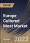 Europe Cultured Meat Market Size, Share & Industry Trends Analysis Report By Source, By End Use, By Country and Growth Forecast, 2022 - 2028 - Product Thumbnail Image