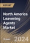 North America Leavening Agents Market Size, Share & Trends Analysis Report By Application, By Form, By Country and Growth Forecast, 2024 - 2031 - Product Thumbnail Image