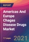 Americas And Europe Chagas Disease Drugs Market Size, Market Share, Application Analysis, Regional Outlook, Growth Trends, Key Players, Competitive Strategies and Forecasts, 2021 to 2029 - Product Thumbnail Image