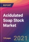 Acidulated Soap Stock Market Size, Market Share, Application Analysis, Regional Outlook, Growth Trends, Key Players, Competitive Strategies and Forecasts, 2021 to 2029 - Product Image