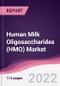 Human Milk Oligosaccharides (HMO) Market - Forecast (2022 - 2027) - Product Thumbnail Image