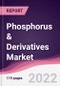Phosphorus & Derivatives Market - Forecast (2022 - 2027) - Product Image