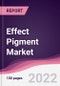 Effect Pigment Market - Forecast (2022 - 2027) - Product Thumbnail Image