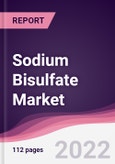 Sodium Bisulfate Market - Forecast (2022 - 2027)- Product Image