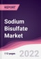 Sodium Bisulfate Market - Forecast (2022 - 2027) - Product Thumbnail Image