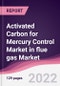 Activated Carbon for Mercury Control Market in flue gas Market - Forecast (2022 - 2027) - Product Thumbnail Image