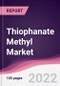 Thiophanate Methyl Market - Forecast (2022 - 2027) - Product Thumbnail Image