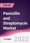 Penicillin and Streptomycin Market - Forecast (2022 - 2027) - Product Thumbnail Image