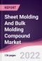 Sheet Molding And Bulk Molding Compound Market - Forecast (2022 - 2027) - Product Image