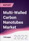 Multi-Walled Carbon Nanotubes Market - Forecast (2022 - 2027) - Product Image