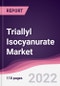 Triallyl Isocyanurate Market - Forecast (2022 - 2027) - Product Thumbnail Image