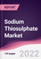 Sodium Thiosulphate Market - Forecast (2022 - 2027) - Product Thumbnail Image