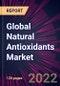 Global Natural Antioxidants Market 2022-2026 - Product Thumbnail Image