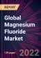 Global Magnesium Fluoride Market 2022-2026 - Product Thumbnail Image