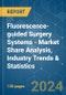 Fluorescence-guided Surgery Systems - Market Share Analysis, Industry Trends & Statistics, Growth Forecasts 2019 - 2029 - Product Image