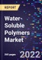 Water-Soluble Polymers Market By Product Type, By Raw Material, By End-Use, and By Region Forecast to 2028 - Product Image
