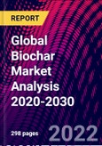 Global Biochar Market Analysis 2020-2030- Product Image