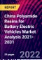 China Polyamide Resins for Battery Electric Vehicles Market Analysis 2021-2031 - Product Thumbnail Image