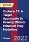 Cadherin 17: A Target Opportunity To Develop Effector-Enhanced Drug Modalities - Product Image