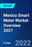 Mexico Smart Meter Market Overview 2027- Product Image
