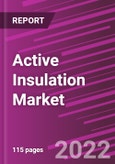 Active Insulation Market Share, Size, Trends, Industry Analysis Report, By Material, By Application, By Region, Segment Forecast, 2022 - 2030- Product Image