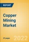 Copper Mining Market by Reserves and Production, Assets and Projects, Demand Drivers, Key Players and Forecast, 2022-2026 - Product Image
