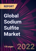 Global Sodium Sulfite Market 2022-2026- Product Image