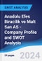 Anadolu Efes Biracilik ve Malt San AS - Company Profile and SWOT Analysis - Product Thumbnail Image