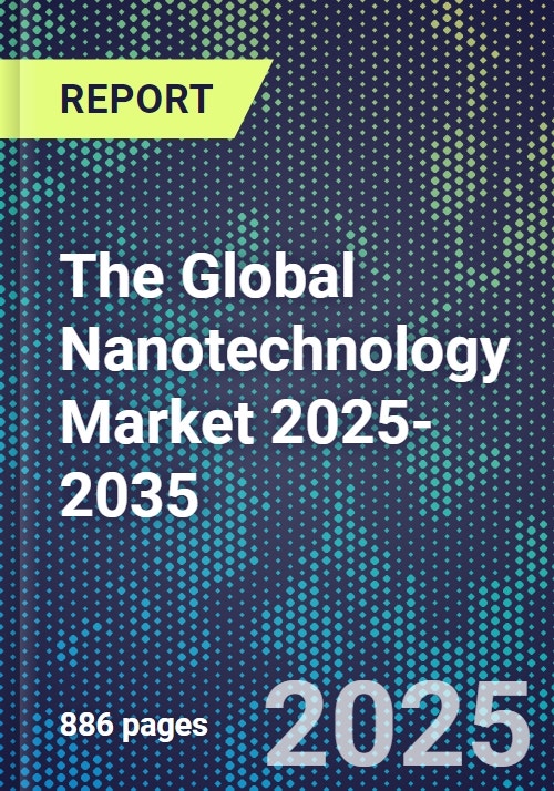 The Global Nanotechnology Market 2025-2035 - Research and Markets