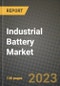 Industrial Battery Market Outlook Report - Industry Size, Trends, Insights, Market Share, Competition, Opportunities, and Growth Forecasts by Segments, 2022 to 2030 - Product Image