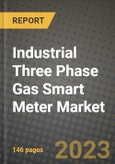 Industrial Three Phase Gas Smart Meter Market Outlook Report - Industry Size, Trends, Insights, Market Share, Competition, Opportunities, and Growth Forecasts by Segments, 2022 to 2030- Product Image