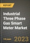 Industrial Three Phase Gas Smart Meter Market Outlook Report - Industry Size, Trends, Insights, Market Share, Competition, Opportunities, and Growth Forecasts by Segments, 2022 to 2030 - Product Thumbnail Image