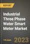 Industrial Three Phase Water Smart Meter Market Outlook Report - Industry Size, Trends, Insights, Market Share, Competition, Opportunities, and Growth Forecasts by Segments, 2022 to 2030 - Product Image