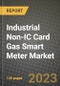 Industrial Non-IC Card Gas Smart Meter Market Outlook Report - Industry Size, Trends, Insights, Market Share, Competition, Opportunities, and Growth Forecasts by Segments, 2022 to 2030 - Product Thumbnail Image